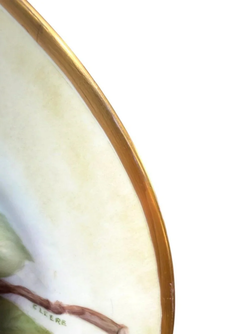 Antique Tirschenreuth Bavaria Hand Painted Apple Plate C Leere 10.75